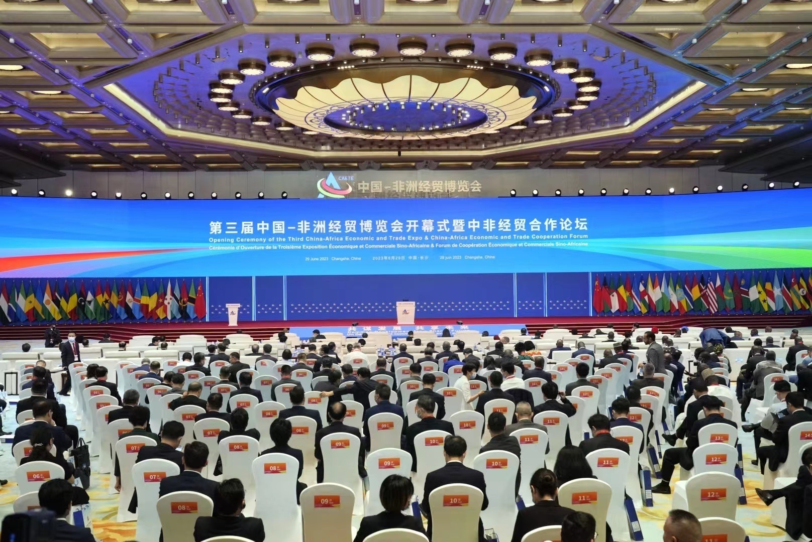 开幕式现场。申智林摄