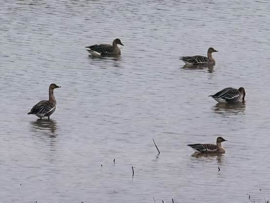 db4a879b584a25867f09f0b6498cd82f