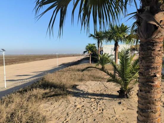 70b4ec22ae8ff7161617bbdaea5b5247