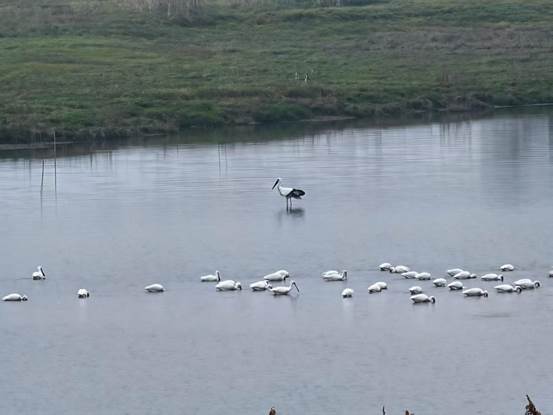 efc1a80c025f32a2f3ae8adb695b5f49