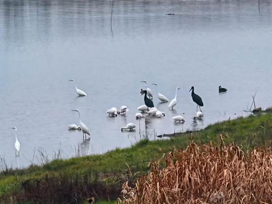 cce9122bf06e6b712661f048f71a4953